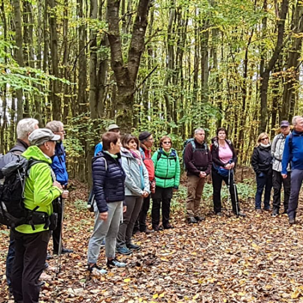 © Susanne Schleicher